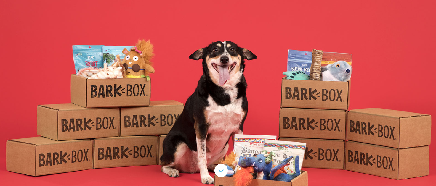 BarkBox