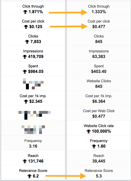 Custom audience vs. a cold audience