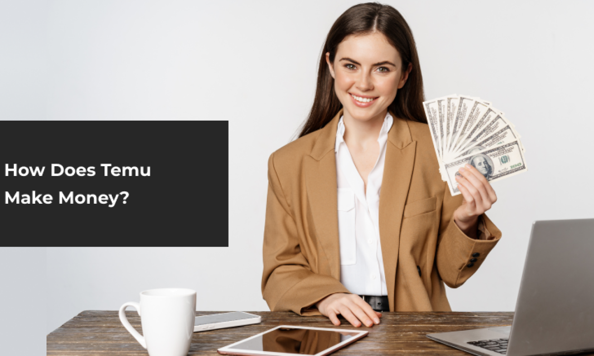 How Does Temu Make Money?